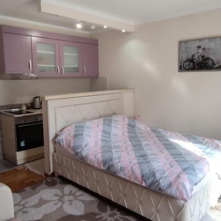Alex 2 Apartman Vrnjačka Banja Zewnętrze zdjęcie