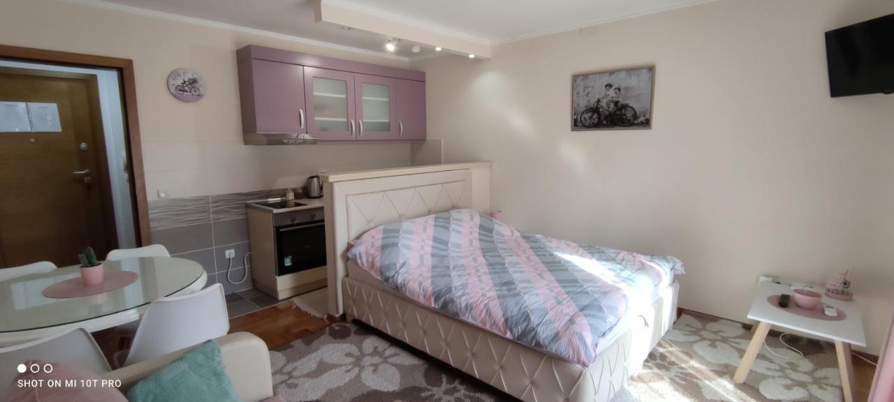 Alex 2 Apartman Vrnjačka Banja Zewnętrze zdjęcie