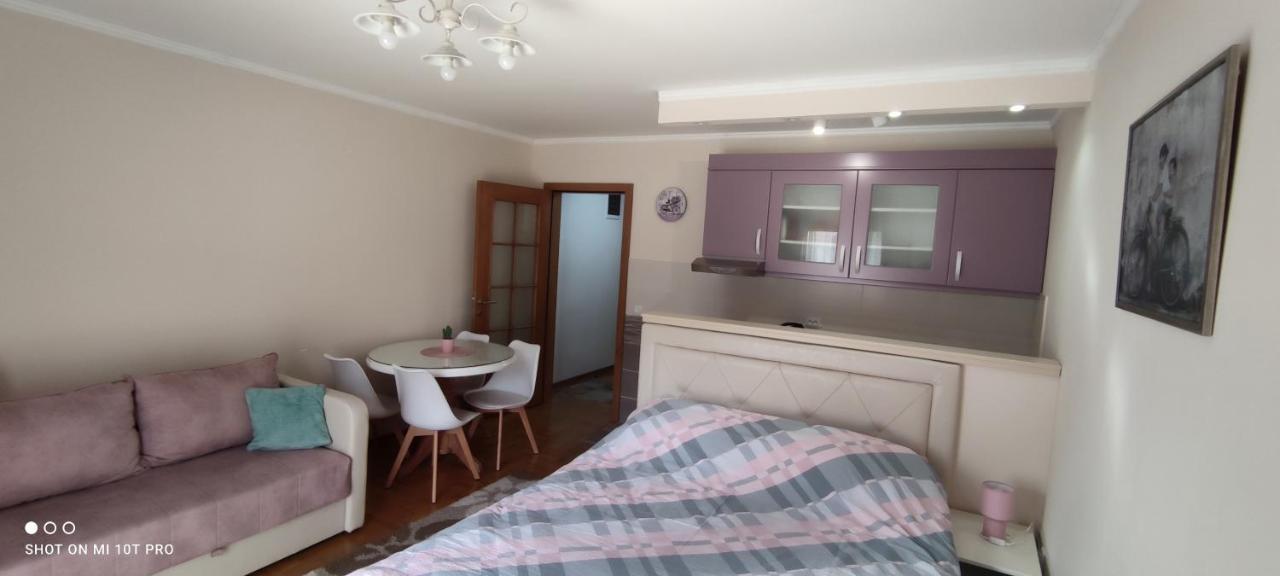 Alex 2 Apartman Vrnjačka Banja Zewnętrze zdjęcie