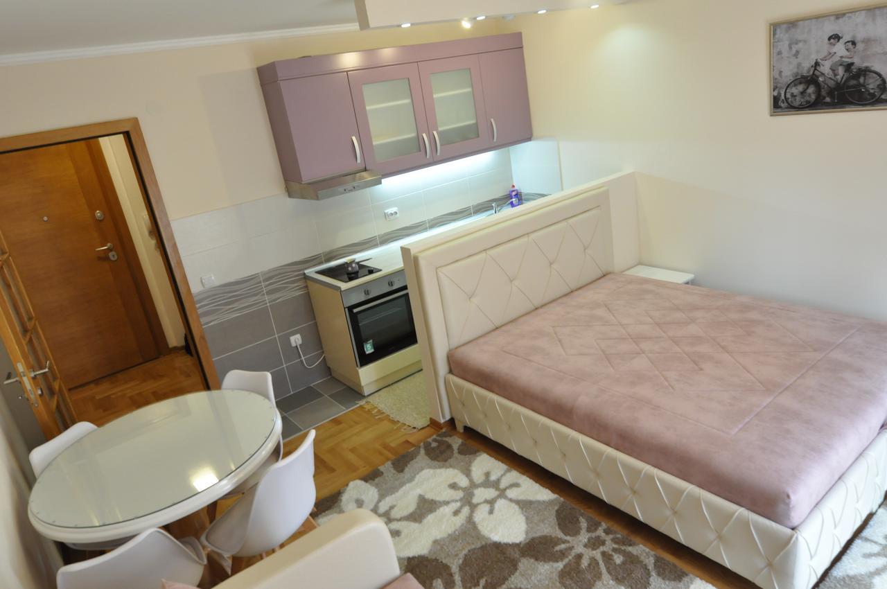 Alex 2 Apartman Vrnjačka Banja Pokój zdjęcie