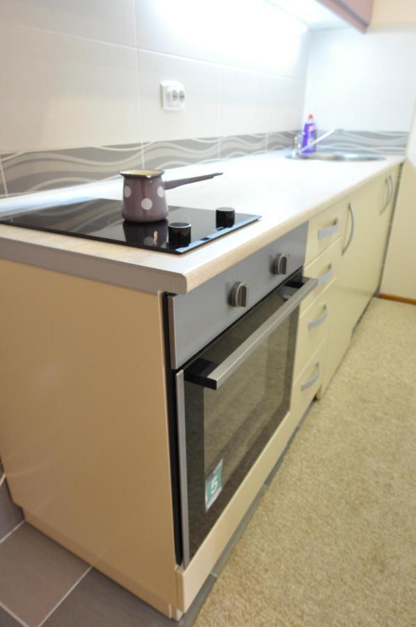 Alex 2 Apartman Vrnjačka Banja Pokój zdjęcie