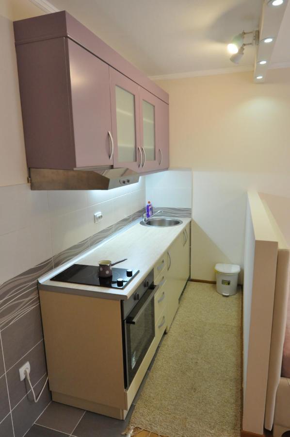 Alex 2 Apartman Vrnjačka Banja Pokój zdjęcie